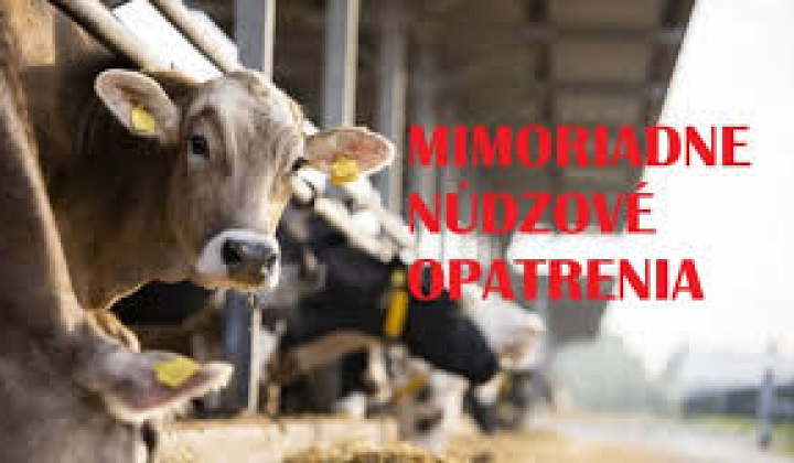 1. fotografia fotogalérie Mimoriadne núdzové opatrenia - foto